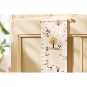 Toise murale Jollein