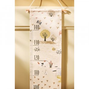 Toise murale Jollein