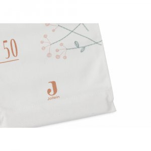 Toise murale Jollein