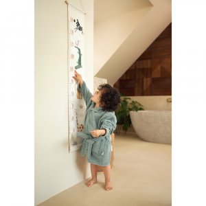 Toise murale Jollein