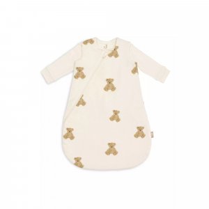 Gigoteuse 4 saisons teddy bear 0-3 mois Jollein