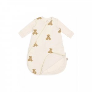 Gigoteuse 4 saisons teddy bear 0-3 mois Jollein