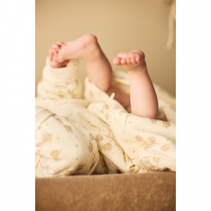 Gigoteuse naissance à manches amovibles 0-3 mois leafy dreams Jollein