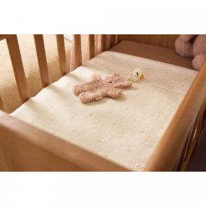 Attache sucette teddy bear wild rose Jollein