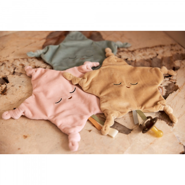 Attache sucette étoile wild rose Jollein