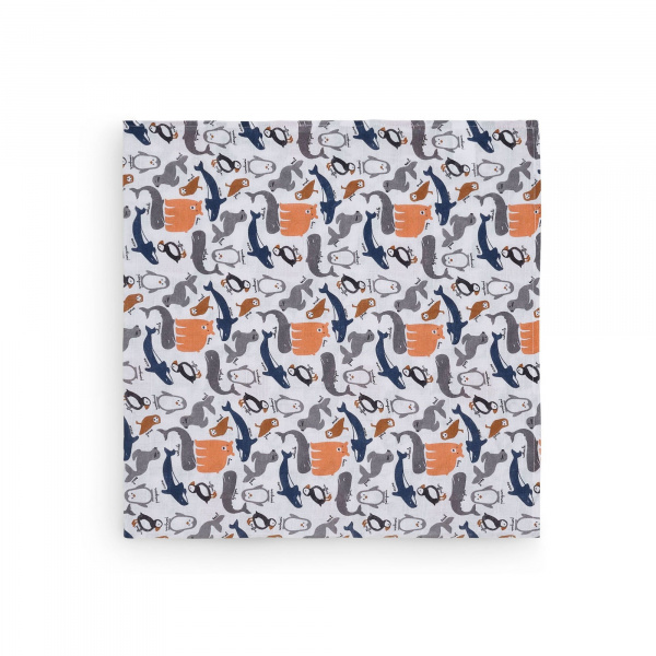 Lot de 2 langes gaze de coton 115 x 115 cm polar Jollein