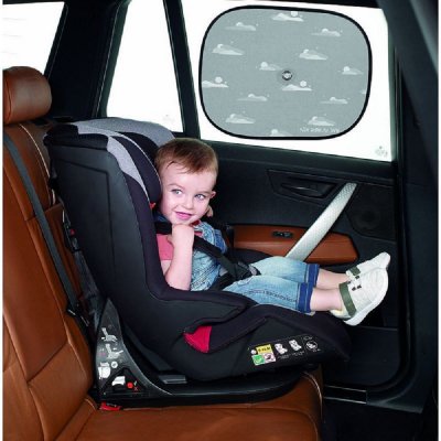 Lot de 2 pare soleil pliable à ventouse dim grey