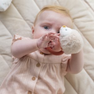 Anneau de dentition silicone zoë le hérisson Nattou