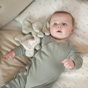 Mini doudou loulou elephant vert tilleul Nattou
