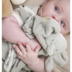Doudou loulou elephant velours vert tilleul Nattou