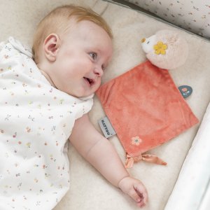 Mini doudou plat zoë le hérisson Nattou