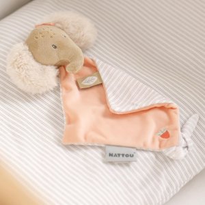 Mini doudou Nattou