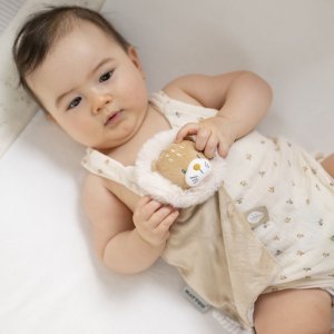 Doudou ernest le lion Nattou