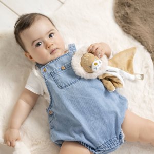 Doudou plat ernest le lion Nattou