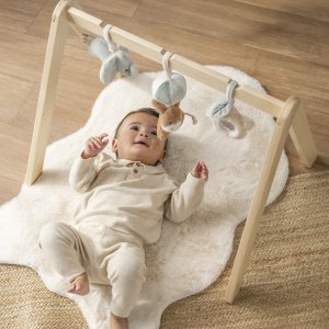 Arches en bois avec jouets a suspendre 60x49cm Nattou