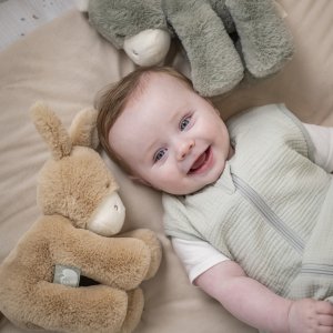 Peluche âne loulou caramel Nattou