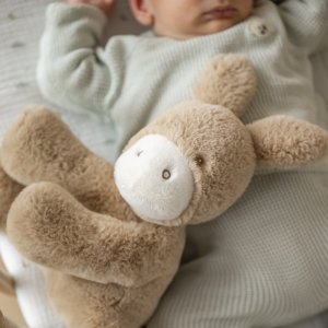 Peluche âne loulou caramel Nattou