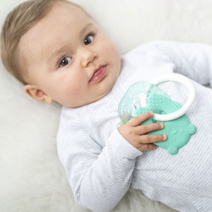 Anneau de dentition Nattou