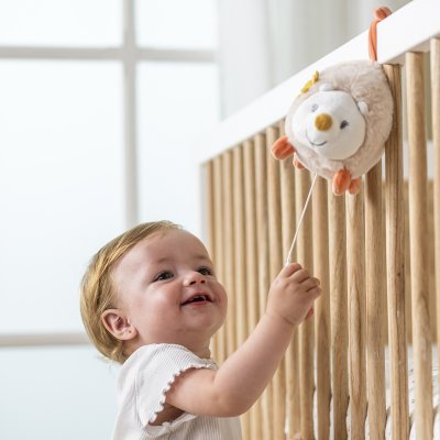 Mini-musical zoë le hérisson