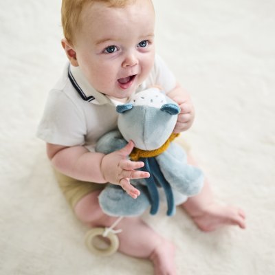 Peluche musicale felix le blaireau