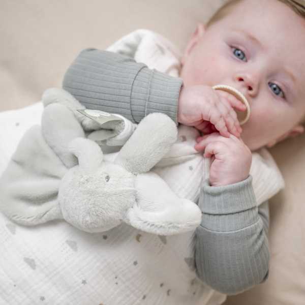 Mini doudou loulou elephant vert tilleul Nattou