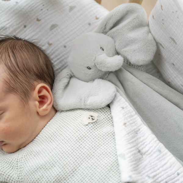 Maxi doudou loulou elephant vert tilleul Nattou