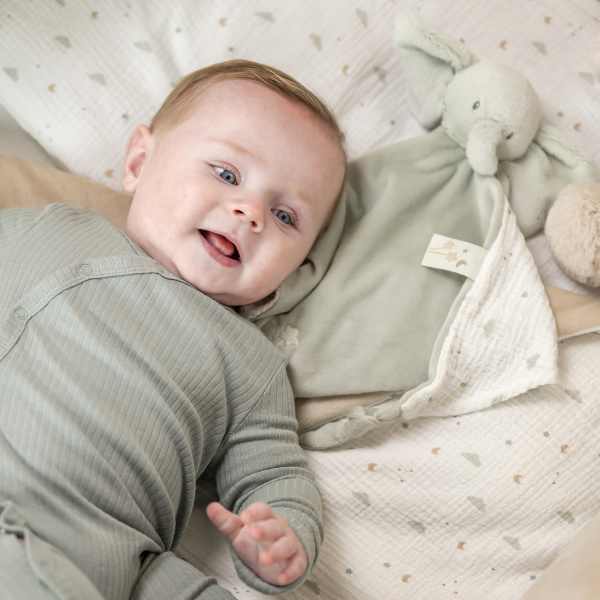 Maxi doudou loulou elephant vert tilleul Nattou