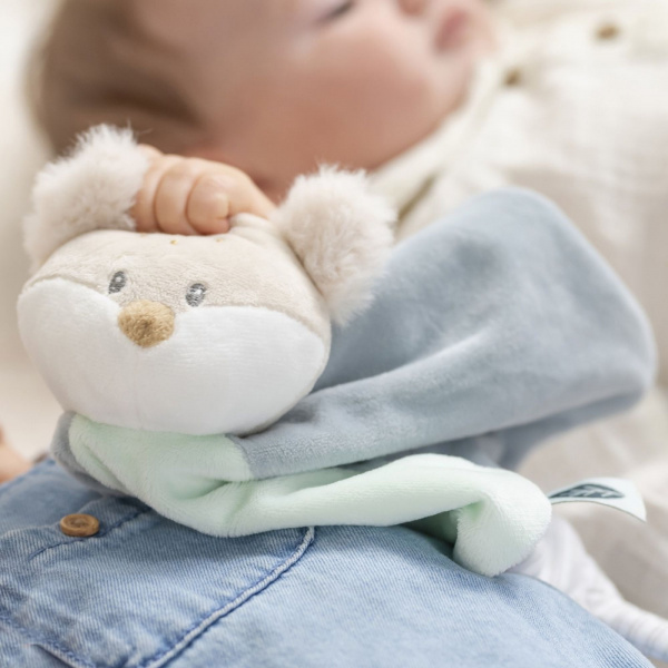 Doudou plat ernest le lion Nattou