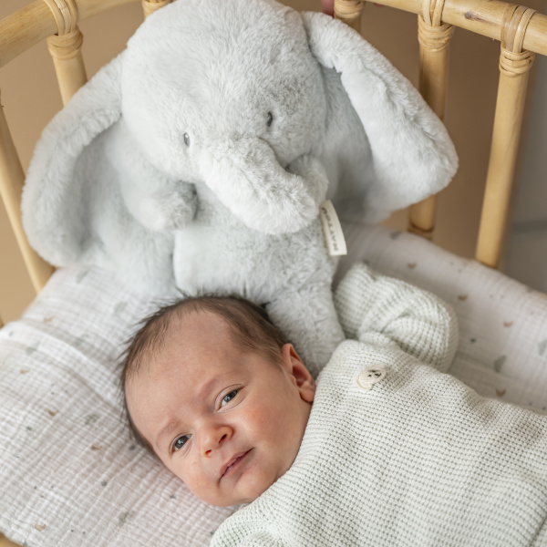 Peluche éléphant loulou vert tilleul Nattou