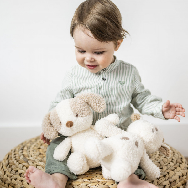 Peluche chien teddy bouclette 24cm ecru Nattou