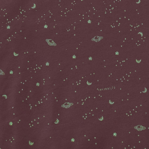 Doudou plat ernest le lion Nattou