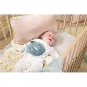 Peluche bouillotte poisson small Kaloo