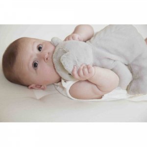 Peluche lestée koala Kaloo