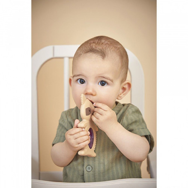 Lot de 2 anneaux de dentition et réfrigérant raton laveur Kaloo