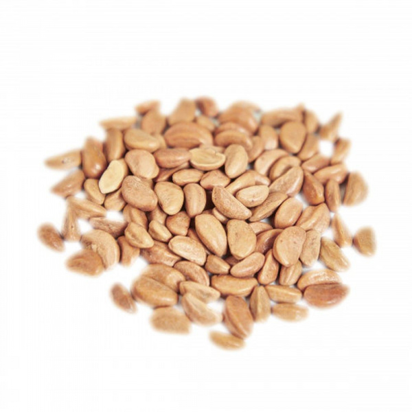 Hochet sonore en bois elephant Kaloo