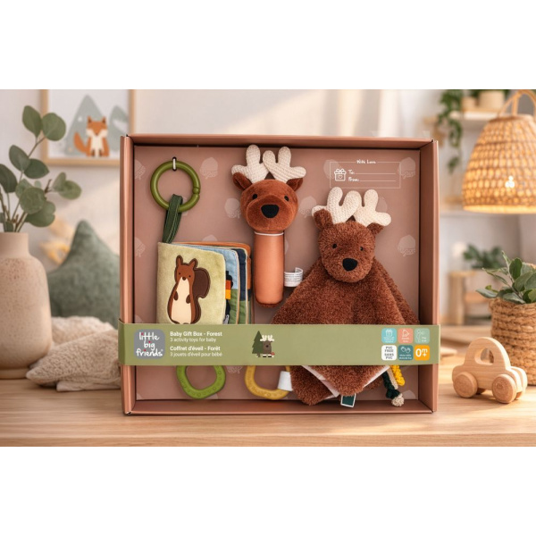Coffret d'éveil - forêt Little big friends