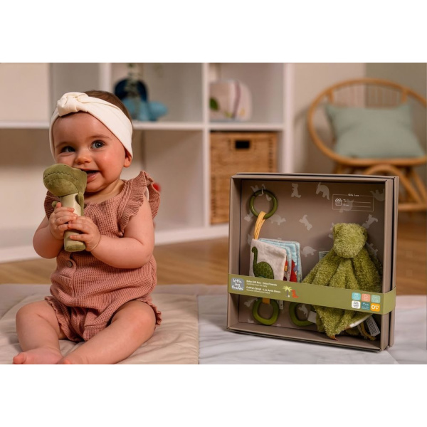 Coffret d'éveil - les amis dinos Little big friends