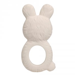 Anneau de dentiton A little lovely company