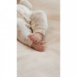 Pantalon pour bébé 1 mois baby bunny Little dutch