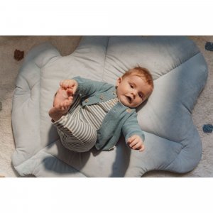 Cardigan Little dutch