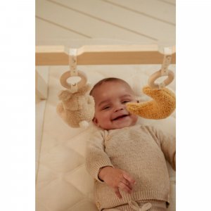 Arche d'éveil en bois - newborn Little dutch