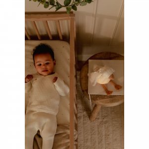 Peluche musicale et lumineuse oie - newborn Little dutch