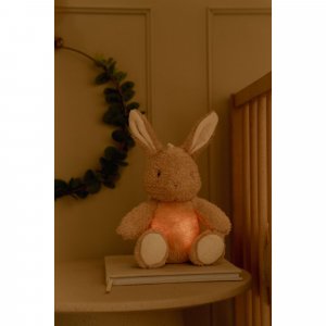 Peluche musicale et lumineuse lapin - newborn Little dutch