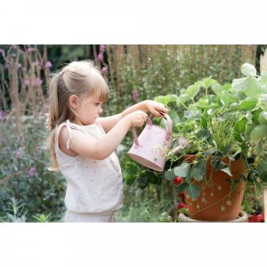 Arrosoir - fairy garden Little dutch