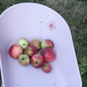 Brouette pour enfant - fairy garden Little dutch