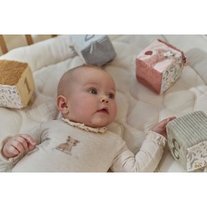 Lot de 4 cubes d'activités en tissu safari friends Little dutch