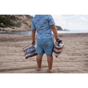 Brassards - ocean world Little dutch