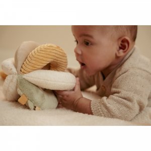 Balle de préhension oie - newborn Little dutch