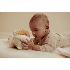 Balle de préhension oie - newborn Little dutch