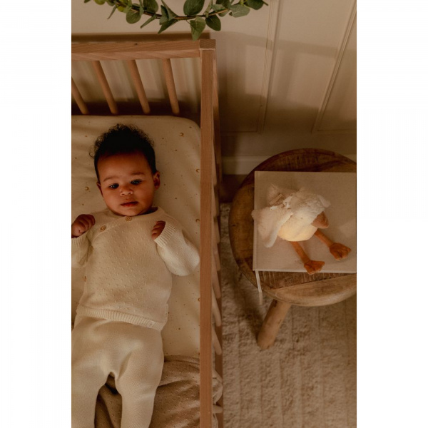 Peluche musicale et lumineuse oie - newborn Little dutch